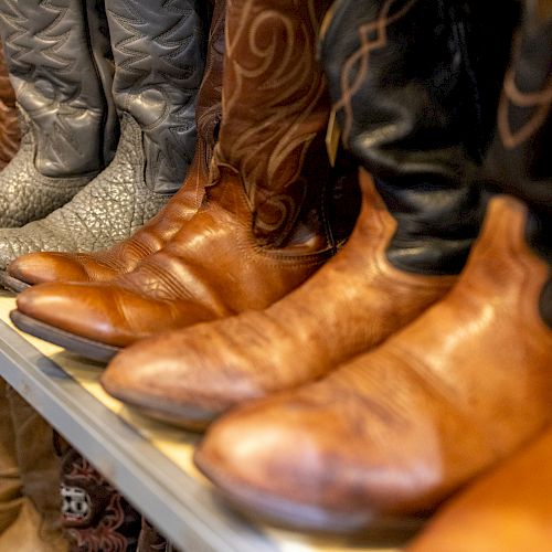 The image shows an assortment of cowboy boots of various colors and designs arranged on a shelf.