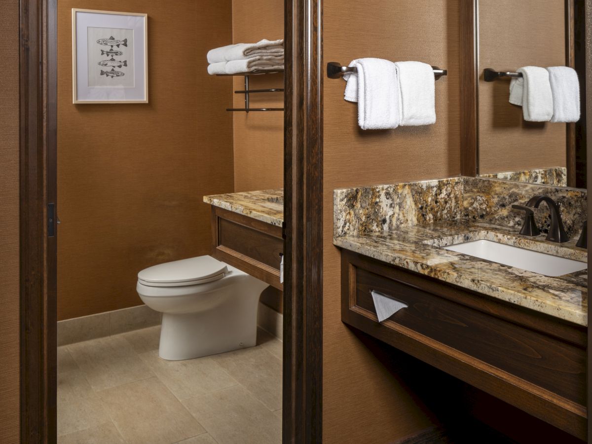 This image shows a clean, well-lit bathroom with a toilet, granite countertop sink, wall-mounted towels, a framed picture, and a brown color scheme.