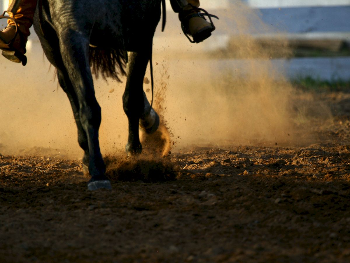 A horse gallops on a dirt track, kicking up a cloud of dust in its wake, with a rider partially visible in the background.