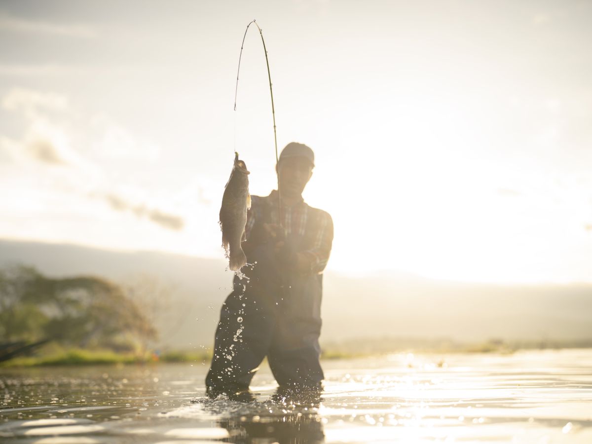 A person standing in a creek with a fishing pole catching a fish during sunrise.