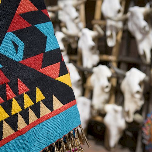 The image shows a colorful, patterned textile in the foreground, with animal skulls and decorative masks in the blurry background.