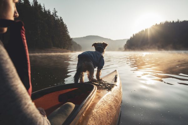 A person kayaking on a serene lake with a dog on the front of the kayak, surrounded by mist and forested hills in the background, at sunrise.