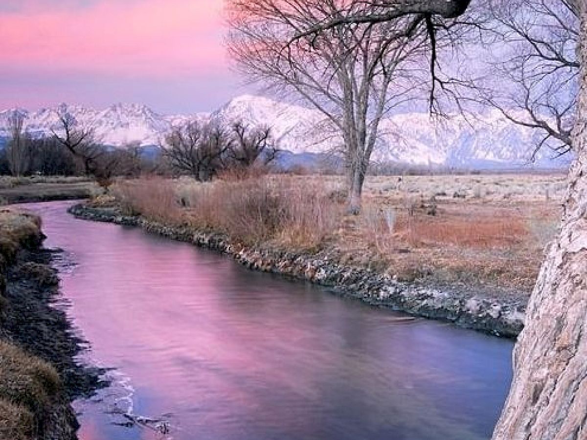 A tranquil river flows through a winter landscape with snow-covered trees and distant mountains under a pink and purple sunset sky.