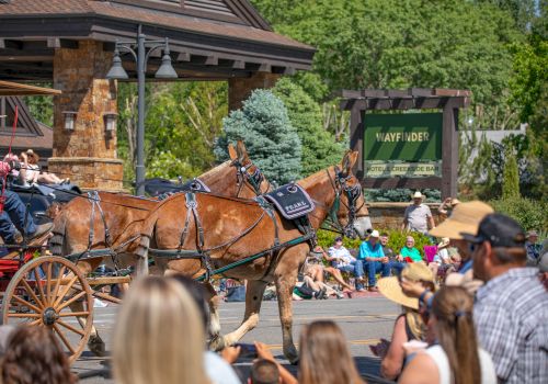 A horse-drawn carriage and two horses hitched to a carriage, with spectators watching a parade in a park setting.