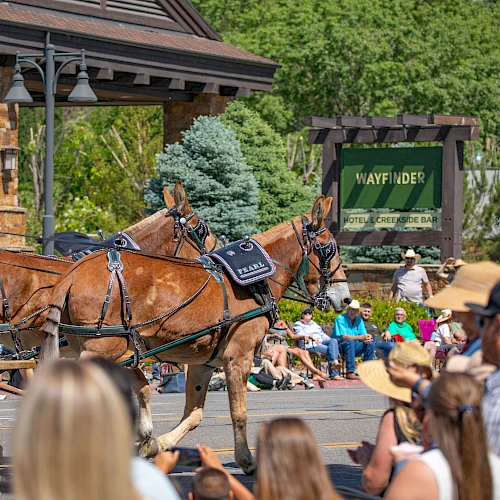 A horse-drawn carriage and two horses hitched to a carriage, with spectators watching a parade in a park setting.
