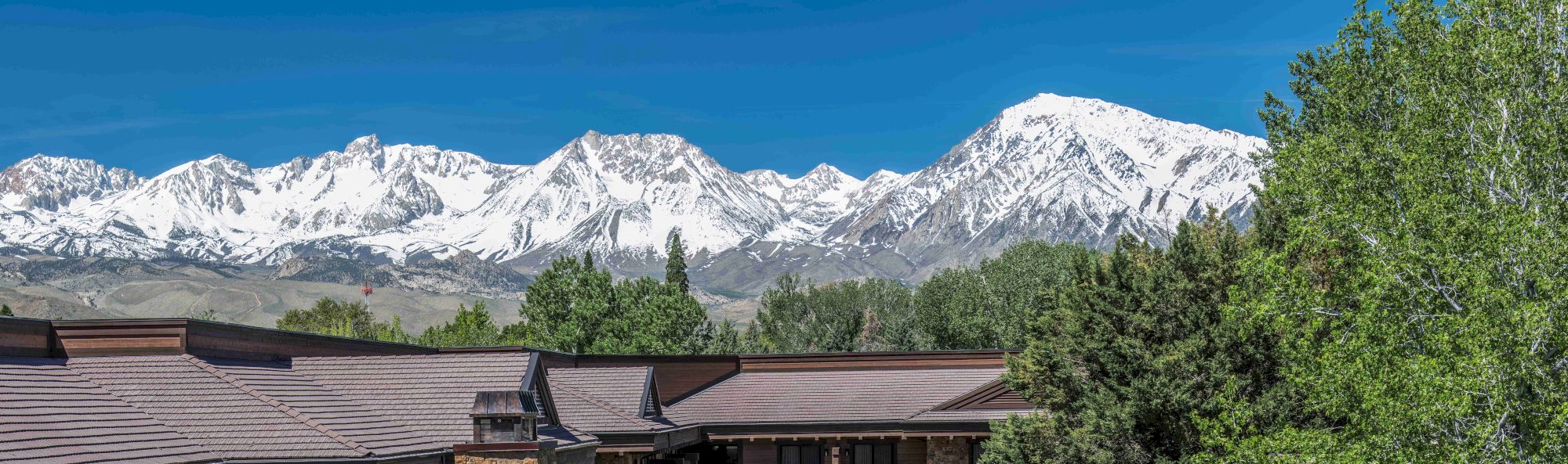 The image shows snow-capped mountains towering above rooflines and dense green trees under a bright blue sky.