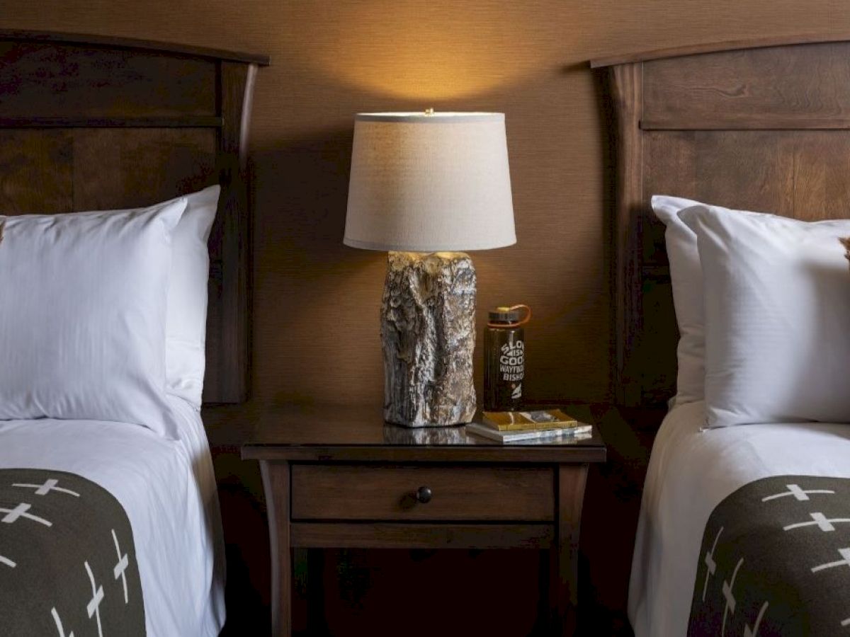 The image shows two neatly made twin beds with patterned pillows and blankets, separated by a nightstand with a lamp and decor items, against a brown wall.