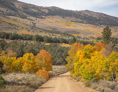 Autumn mountainside landscape with a winding dirt path, golden-orange trees, and forested hills under a cloudy sky.