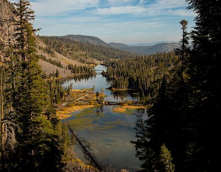 A calm mountain valley river winds through dense evergreens under a cloudy sky.