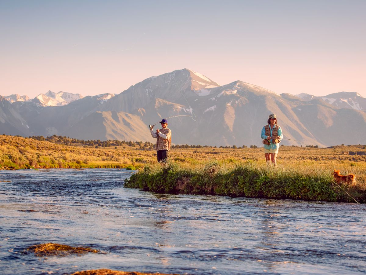 Two people stand by a flowing river with a dog, surrounded by scenic mountains and grassy fields under a clear sky.