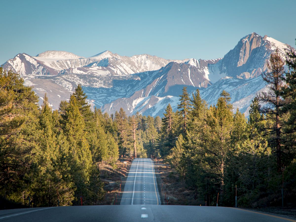 A road stretches towards snow-capped mountains, lined by dense green forests under a clear blue sky.