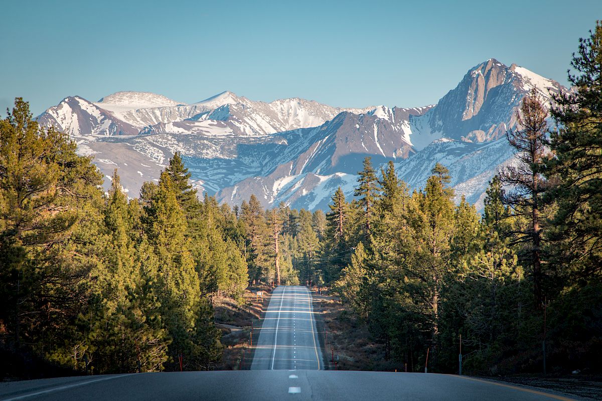 A straight road leads through a forest towards snow-capped mountains under a clear blue sky.