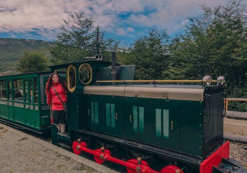 A person in a red jacket stands beside a green and black train in a natural setting with trees and a cloudy sky.