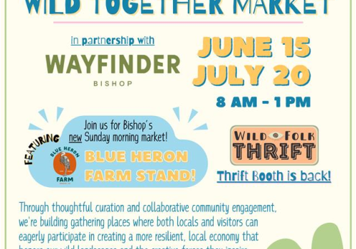 Flyer for "Wild Together Market" in Bishop, CA. Dates: June 15, July 20, 8 AM - 1 PM. Features Blue Heron Farm Stand and thrifting.
