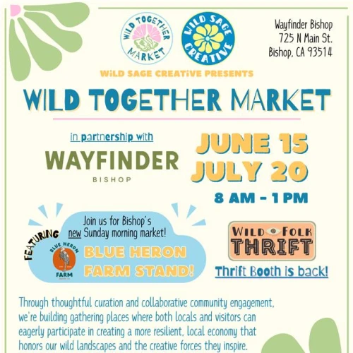 Flyer for "Wild Together Market" in Bishop, CA. Dates: June 15, July 20, 8 AM - 1 PM. Features Blue Heron Farm Stand and thrifting.