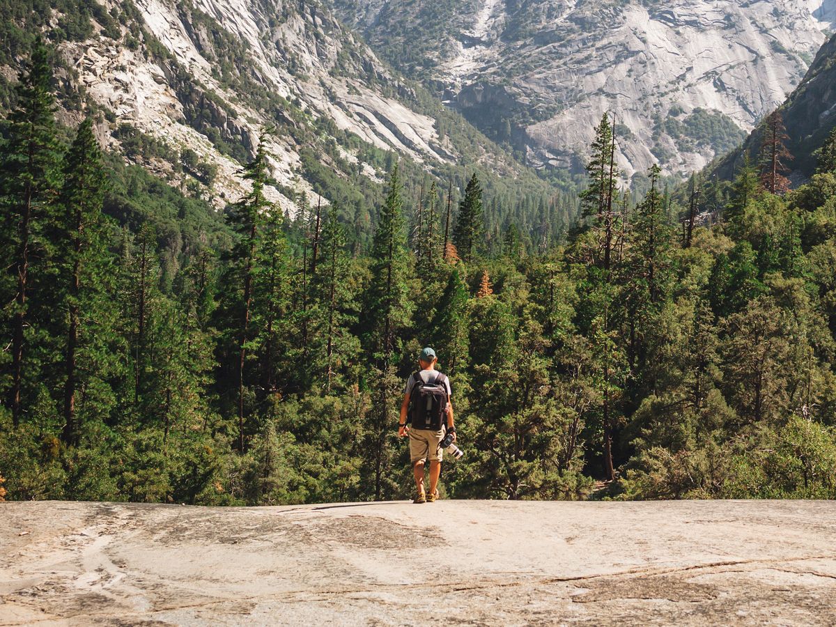 A hiker stands on a rocky overlook amid conifer trees, with towering gray-mauve mountains and a clear blue sky in a deep canyon.