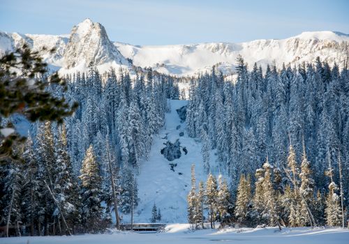 Snowy mountain landscape with evergreen trees, a clear blue sky, and sunlit peaks in the background, creating a serene winter scene.
