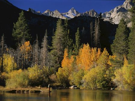 A serene lake scene with autumn trees in golden yellows and oranges, evergreen pines, and rocky mountains in the background under a clear blue sky.