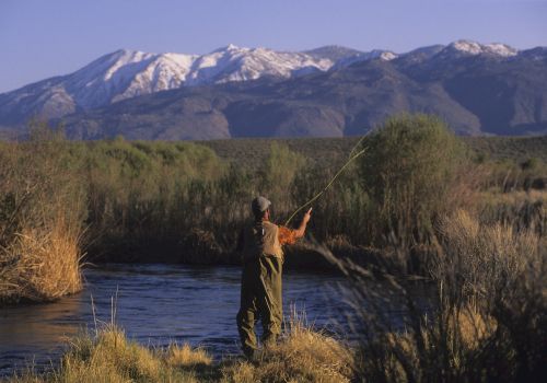A person fishing in a river with shrubs, mountains in the background and snow on the peaks.