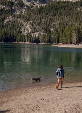 A person wades into a calm lake by a rocky shore with forested hills in the background, sunny and serene.