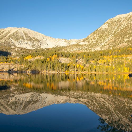 Snow-dusted mountains rise above an autumn forest, reflected in a calm lake under a clear blue sky.
