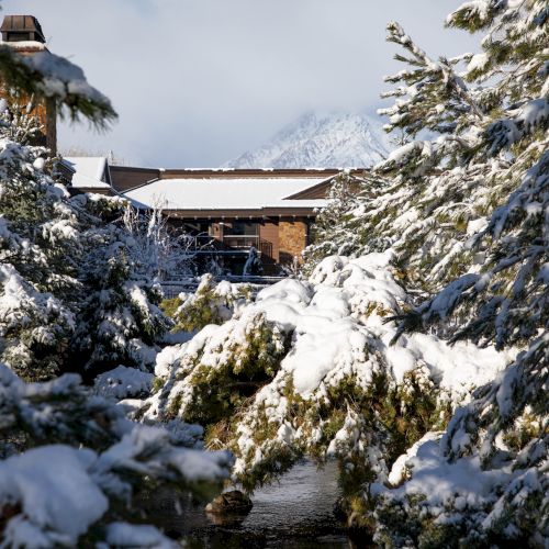 Snow-covered trees surround a cozy chalet with a small pond, set against distant snowy mountains on a cold day.