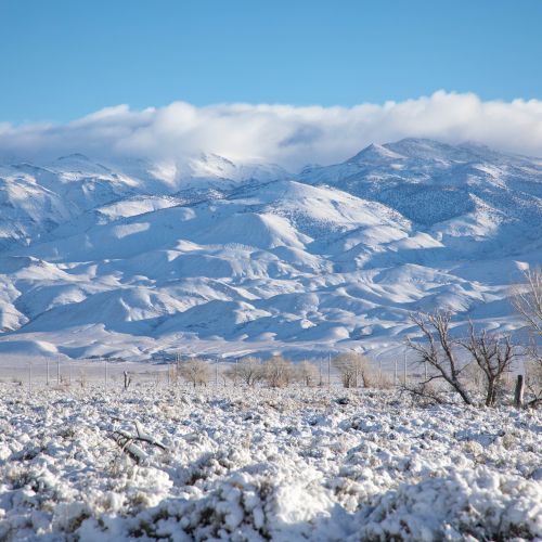 A vast winter landscape with snow-covered mountains, a blue sky, and frosted fields with bare trees in the foreground.