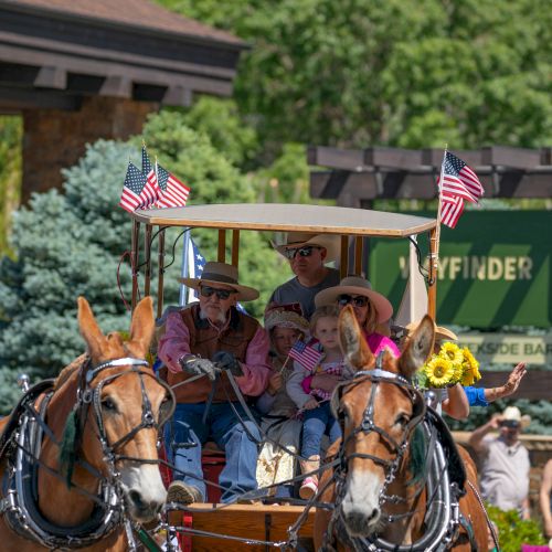 A family rides a horse-drawn carriage at an outdoor event, waving American flags in front of green trees.