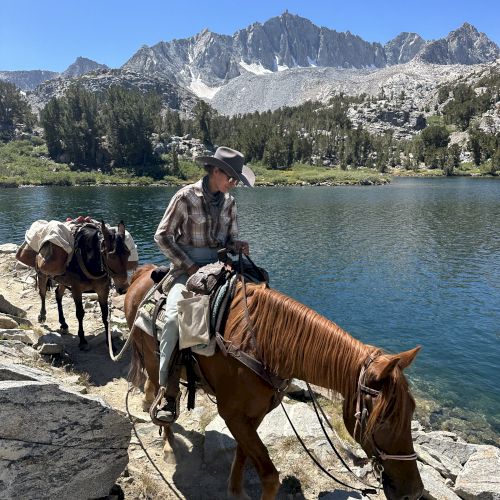 A cowboy in a hat guides saddled horses by a mountain lake with snowcapped peaks in the background.