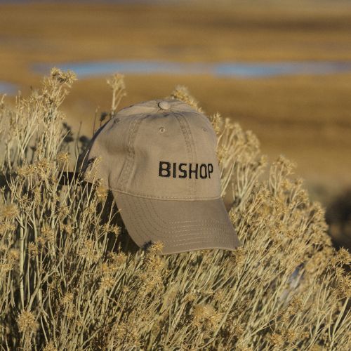 Wayfinder Bishop