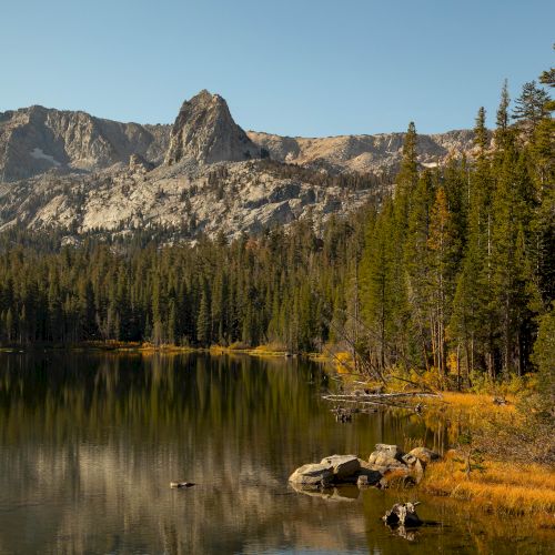 A calm mountain lake with reflections, evergreen trees, and rugged peaks under a clear blue sky.