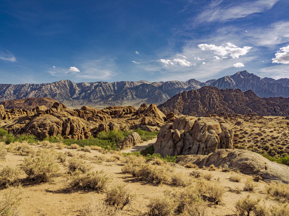 Barren desert landscape with rocky boulders, scrub bushes, distant mountain ranges, and a bright blue sky.