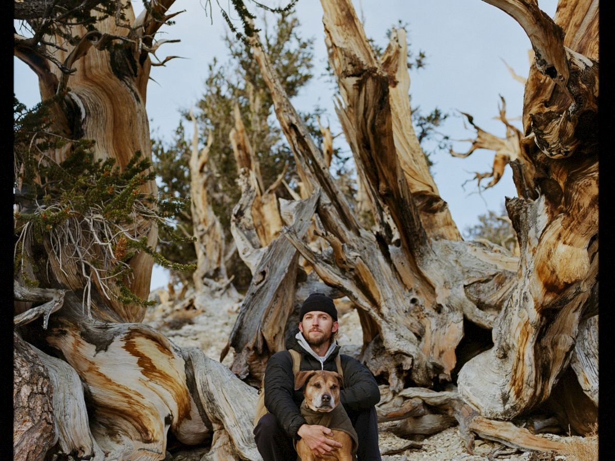 A person and their dog pose in front of towering, twisted dead tree roots in a rocky desert canyon.