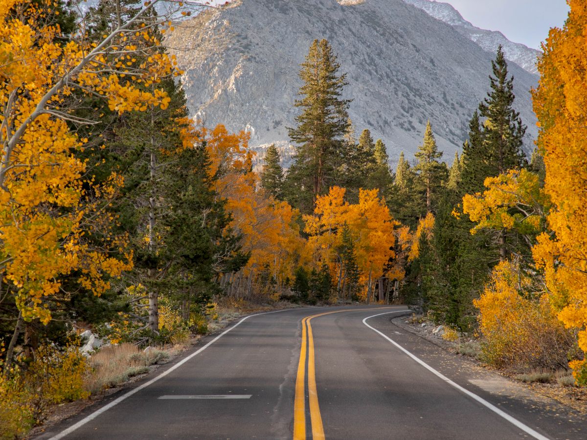 A winding road through golden autumn trees leads toward rugged mountains under a cloudy sky.