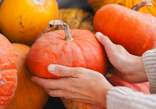 A hand holds an orange pumpkin among other pumpkins, with the stem clearly visible.